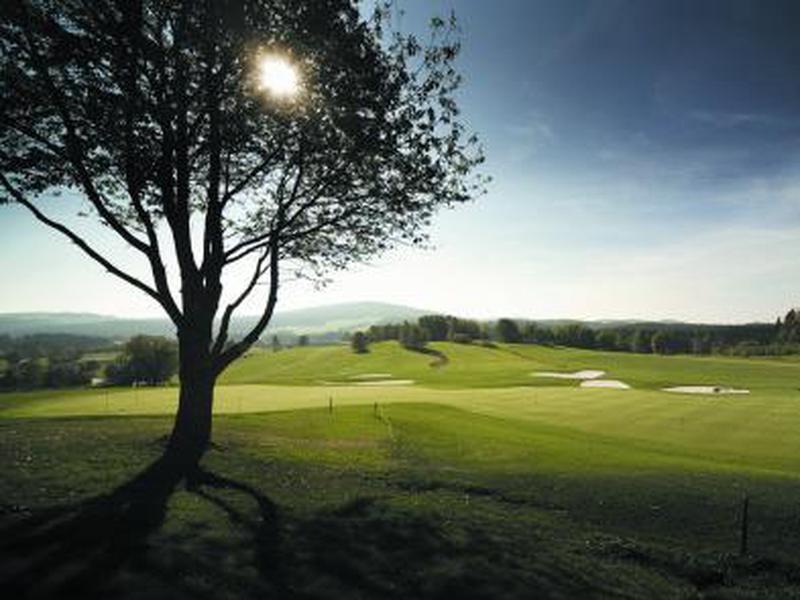 E6F73F56192D6CE35ACE1D1F313A58EF