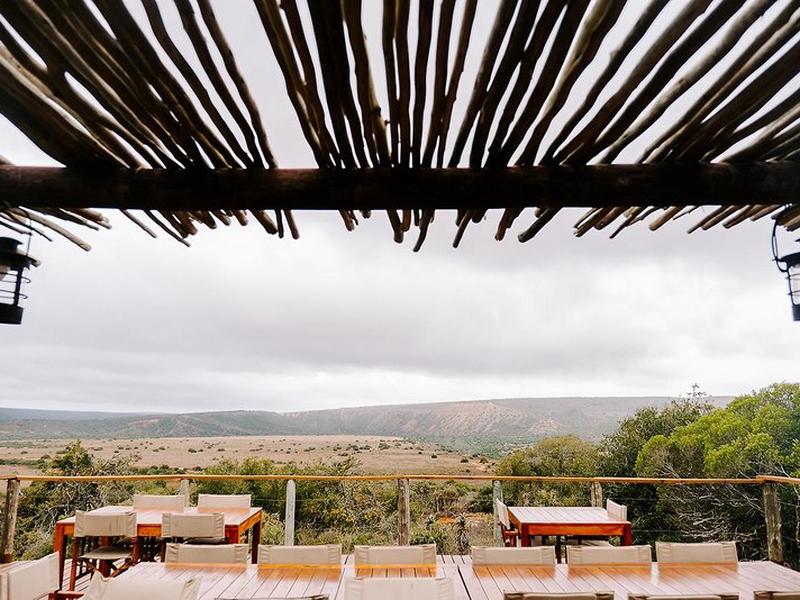 DD55F1F412CFEA62819576D9DC8CA9C8