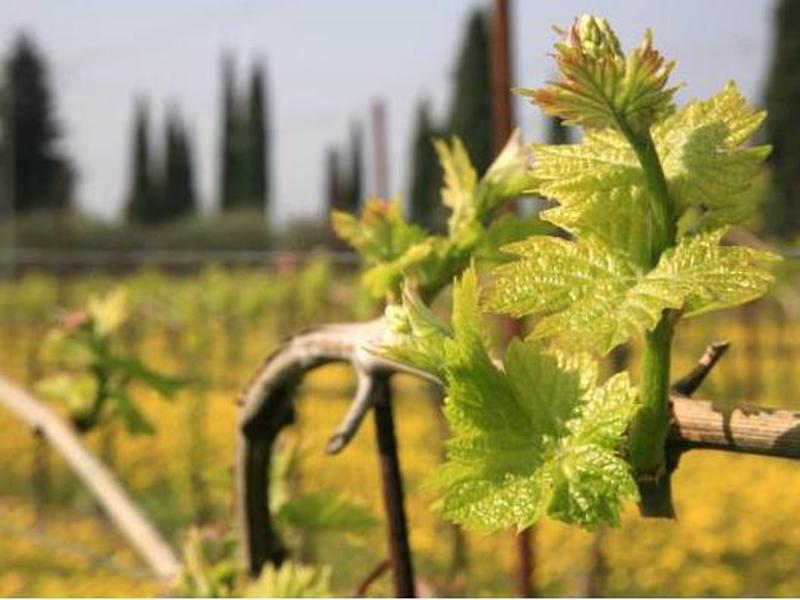 200896E75FFEA41EBB446314B5F69615