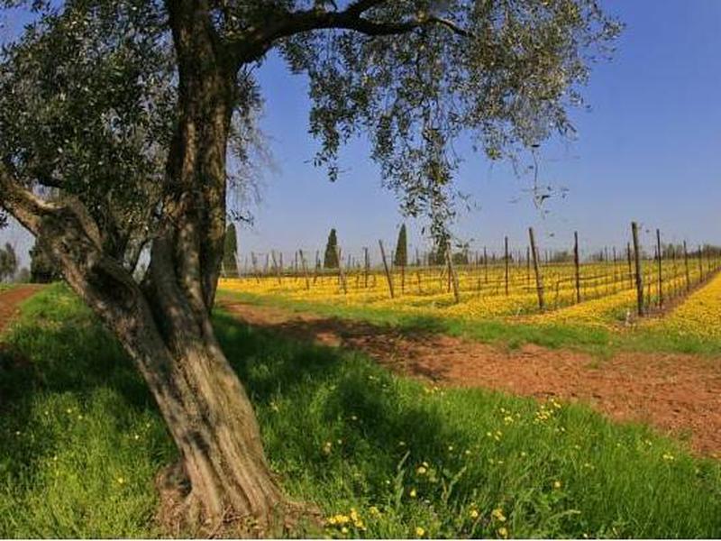 FF77D6E96B9A85BB50AC88366731328E