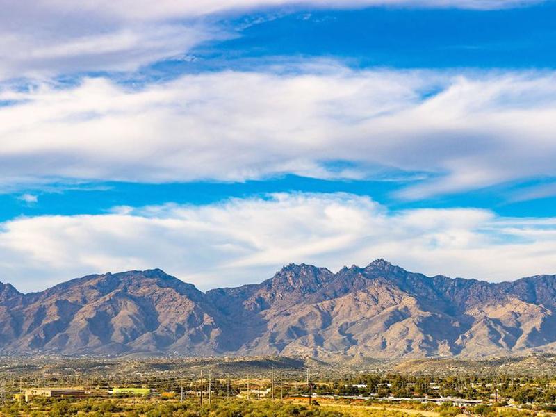 08C4820AB4D1F1ED585B472A1D7DD476