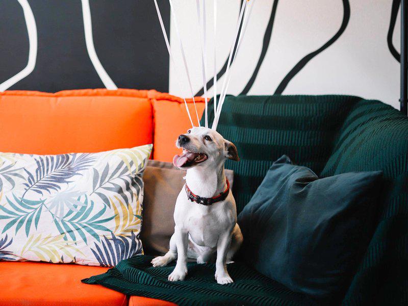 D05E29E1C4E0B9FA1FC321AC2A84C633