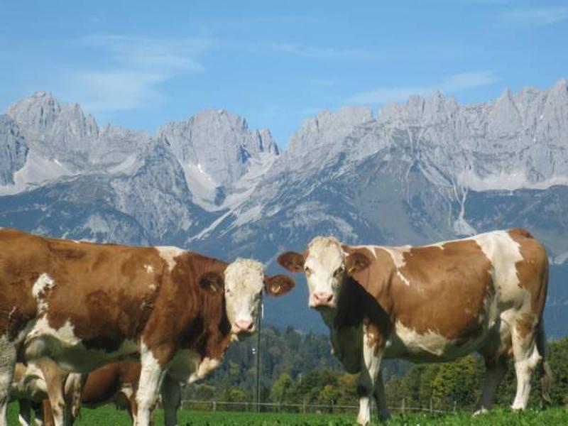 3FFA9B0B32E1192B8C1F3B2212C35DA6