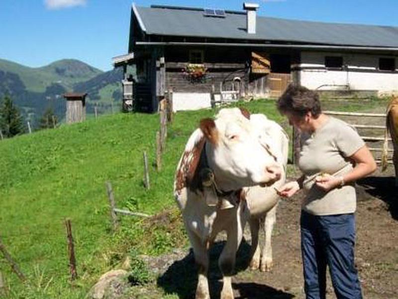 814B197D126A940728D9548636FB7024