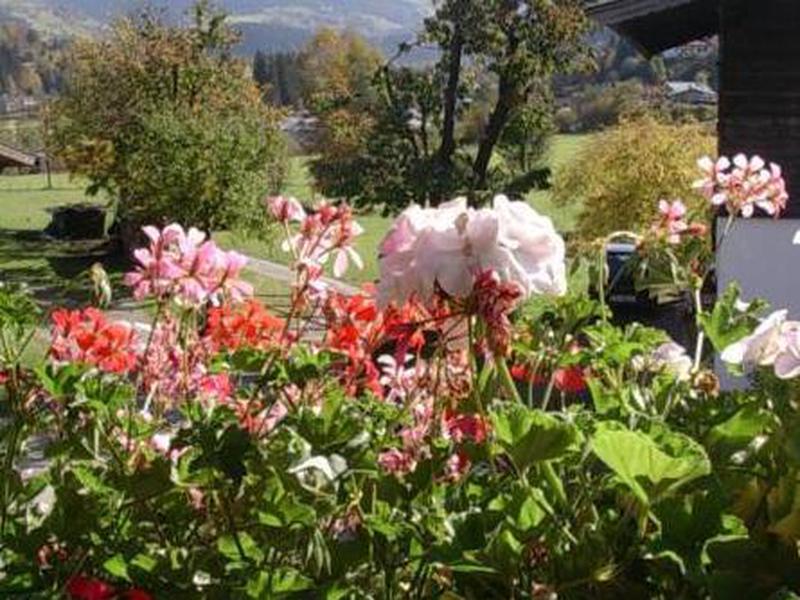 7ABC66D2E46A93F1BF8E478F0727D37D