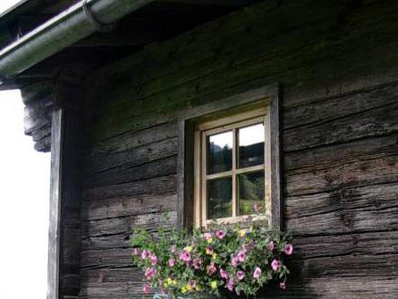 08058A8B01F950F3D78642EC2918C8F9