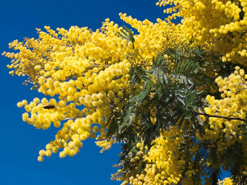 8992B49AA202CA23F62A631109E013EC