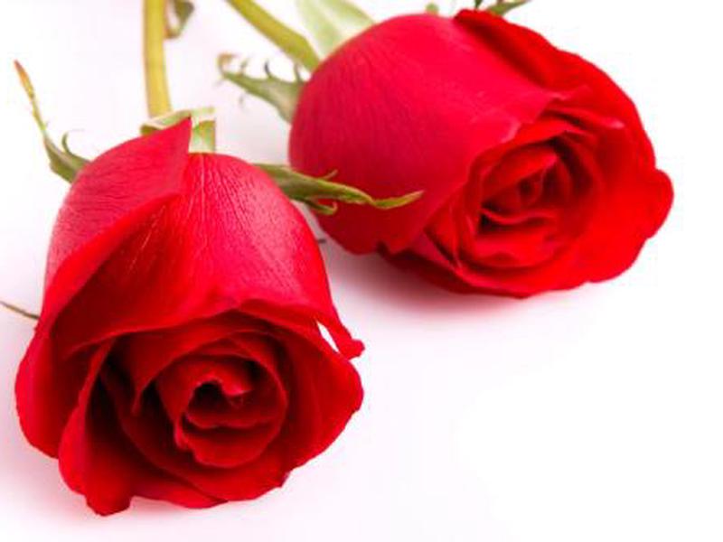 B28361861EA1D36C423A308DD4A9BAC9