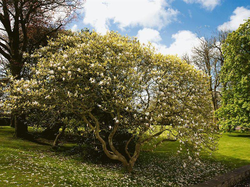 8CB7536D51097EF3DE7F7AA39A613B0E