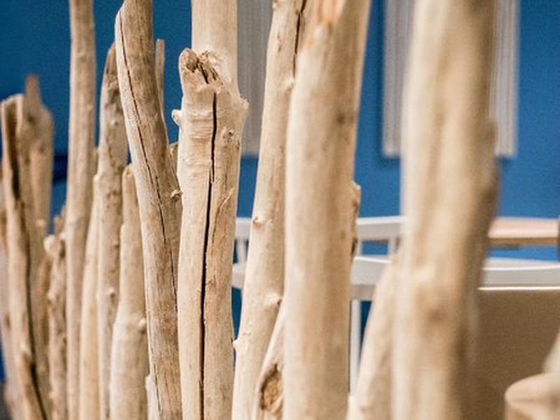 4A20C7BECC153E6293C967031C76B4D8