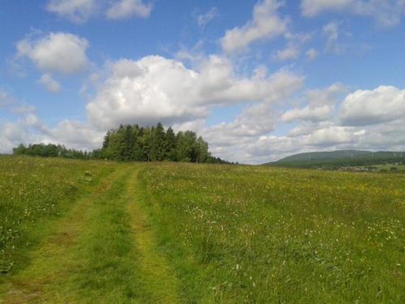 35A6801C5FCDF56837E49FDDE3607314