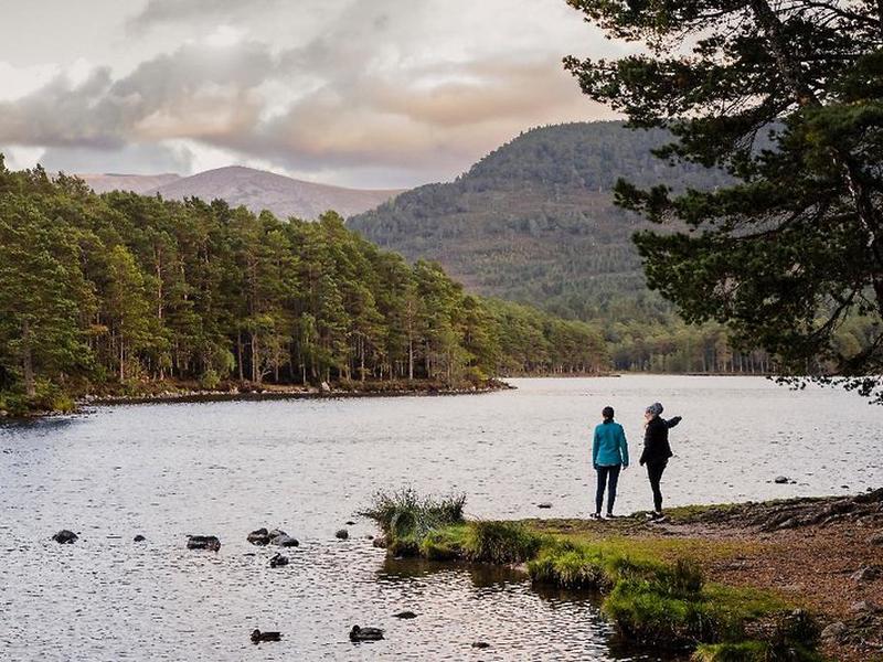 EC1914677FDAB69BA0401139F0DEC34E