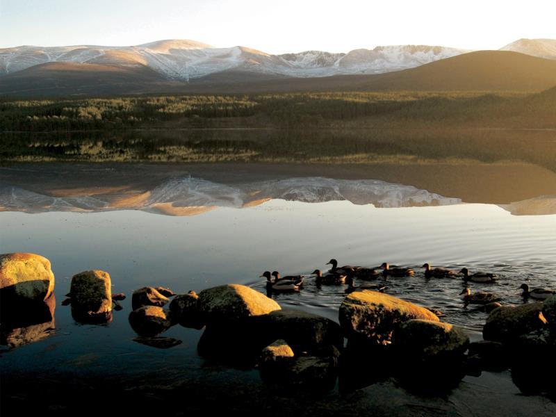 2802E587668768A2A5DF1C2694C5B560