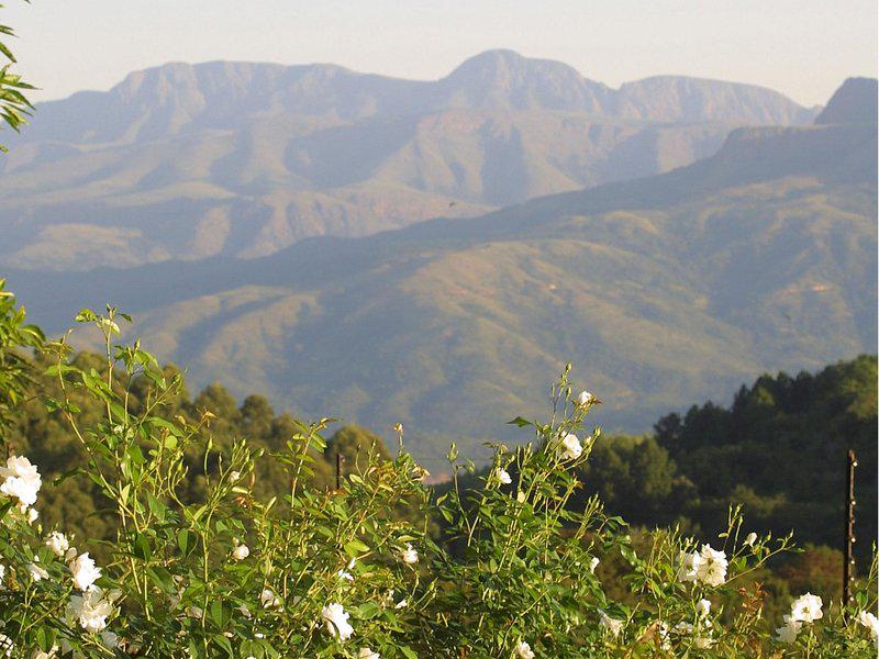 7C0688C0E5A602C1C08CD7AFE43223FE