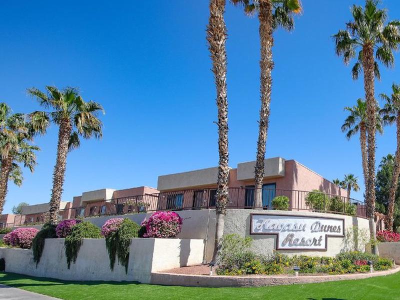 5A19AF43A1A54E34CB2B7175E9A9B118