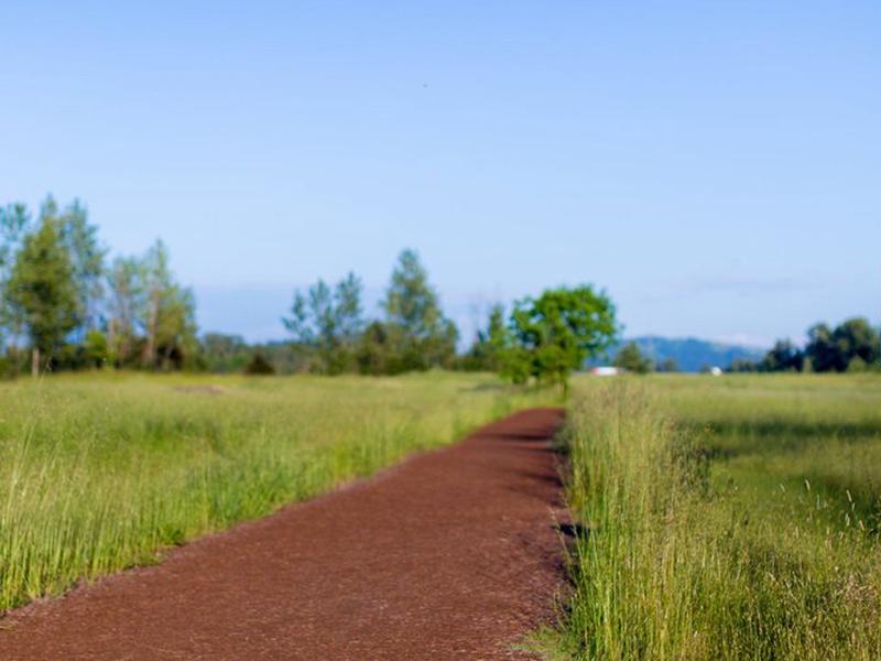 D763D1D037F376B00F7B254A950D2D95