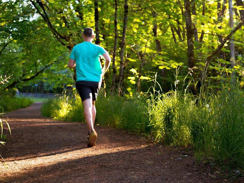 2C19D141EA7A91F034558CF56AD11DC2