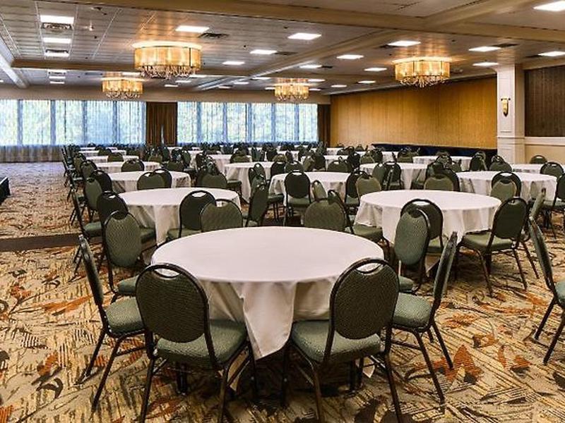 BAD3BA5D6CF7DE4ED53DE09385A709F6