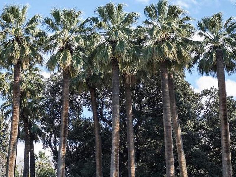 CEF3723B47290307E55F5CEF8E768C04