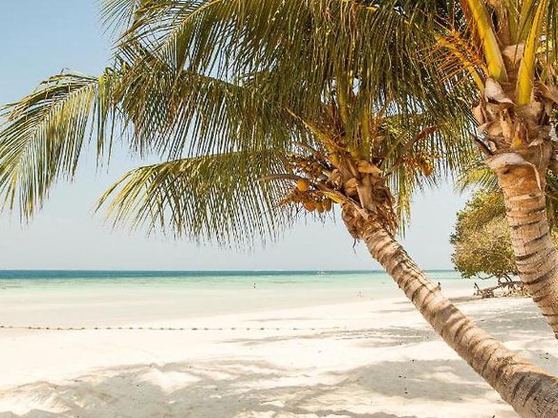 921871C740B4D42FD0C8FEAF8C80D8DA