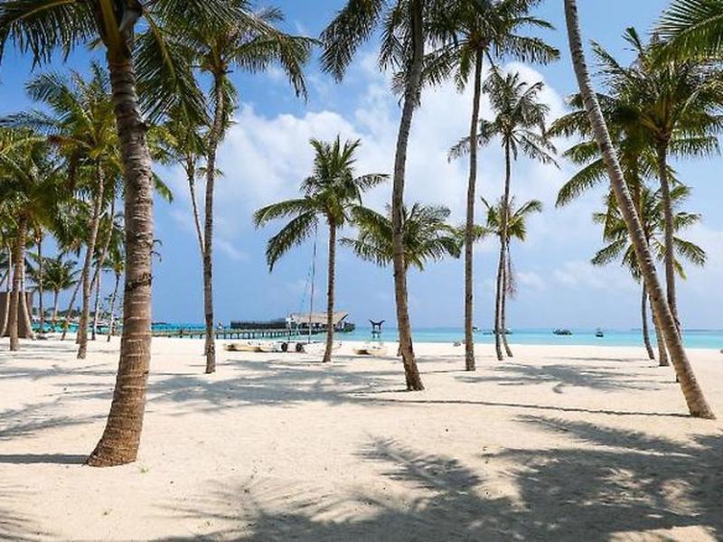 B657A12979279302B19848649977C62E