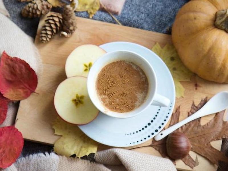 E4981D7D7556606E1E11526AB50705DC