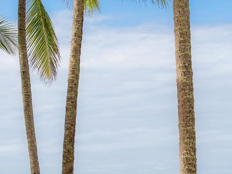 8E9DD4DE9A546821B733A78D4B0A113C