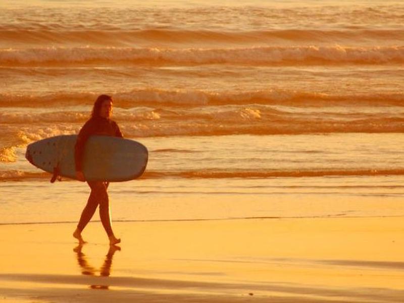 1074F083E45D6292BBCDE33BADC5D792