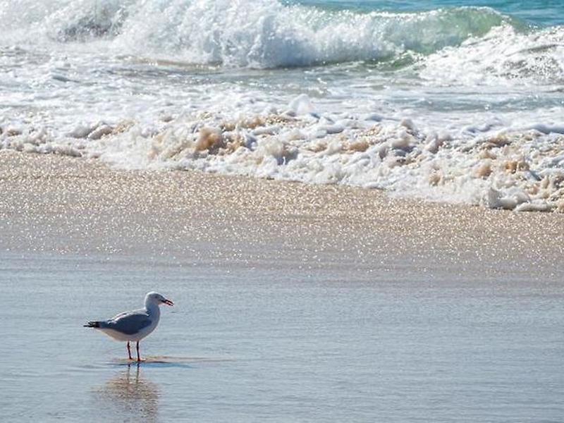 4E66CB3D54F513336D550B29E00D7EF3