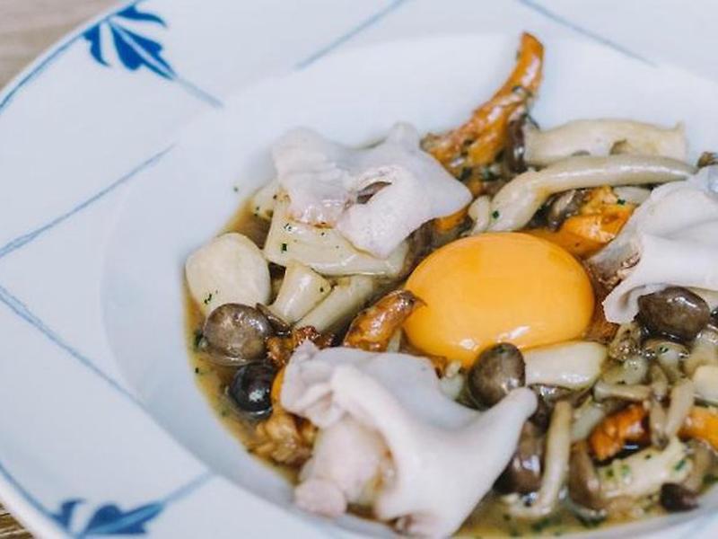 4C3F8E1FDDD5A5BAD2EF36ADCA317A57