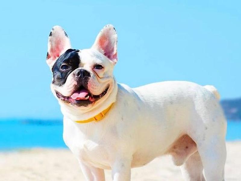 26A97112362731CDF4E99AF783D5D89F