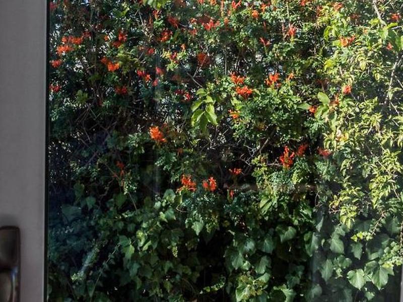 A4F734FA770800048C94575026325AEC