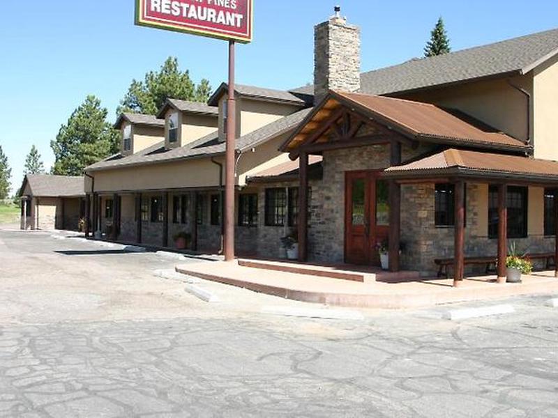 11BEF7D55C3F810467F5EF7E231E066B