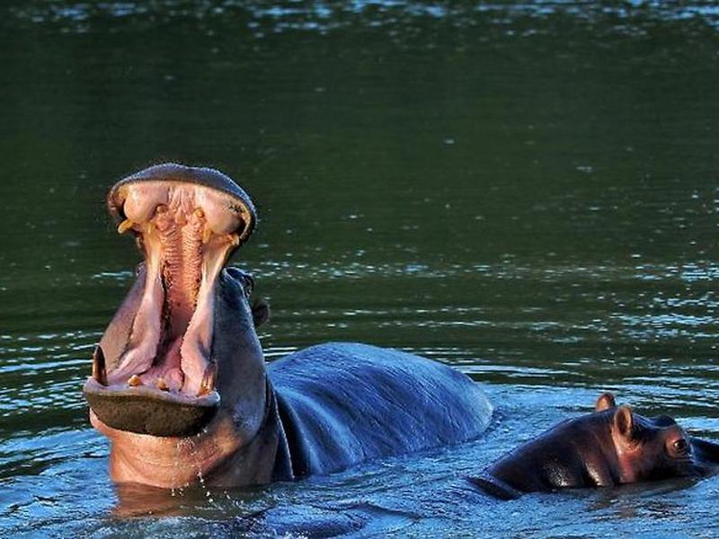 1FC21BC168AE18007210C08BF4EBA99B