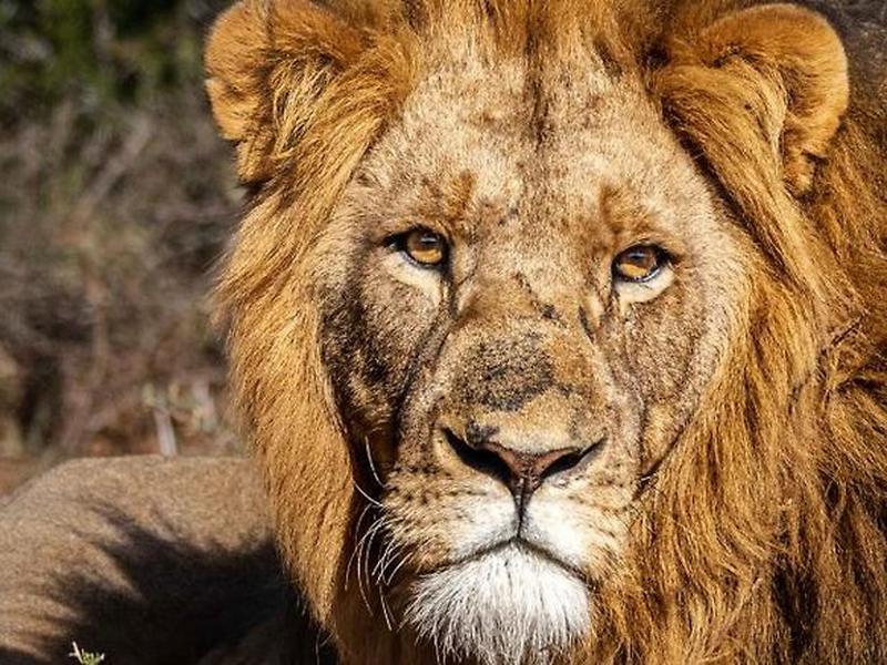 AA6F015EC456AB477BE06D85CFBCB9EE