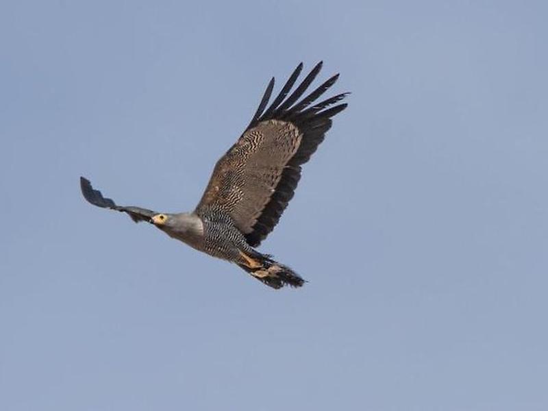 860A98D50D6434C0D9F3B7EEDAD8FC23