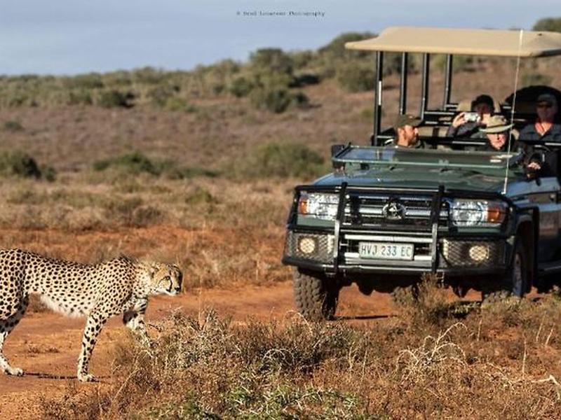 0C70390046CFDF2E394EA089AEC5846E