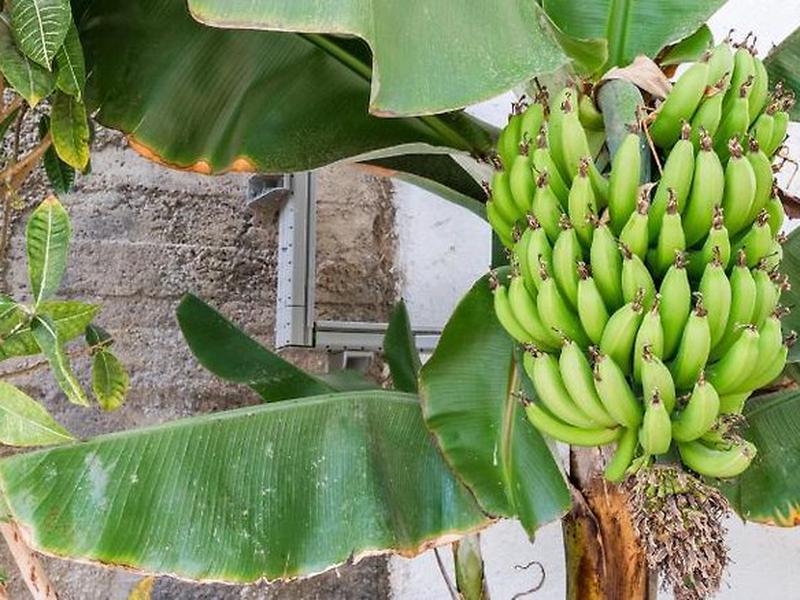 0754F1137FEA0BD47CFFB8AEF679D753