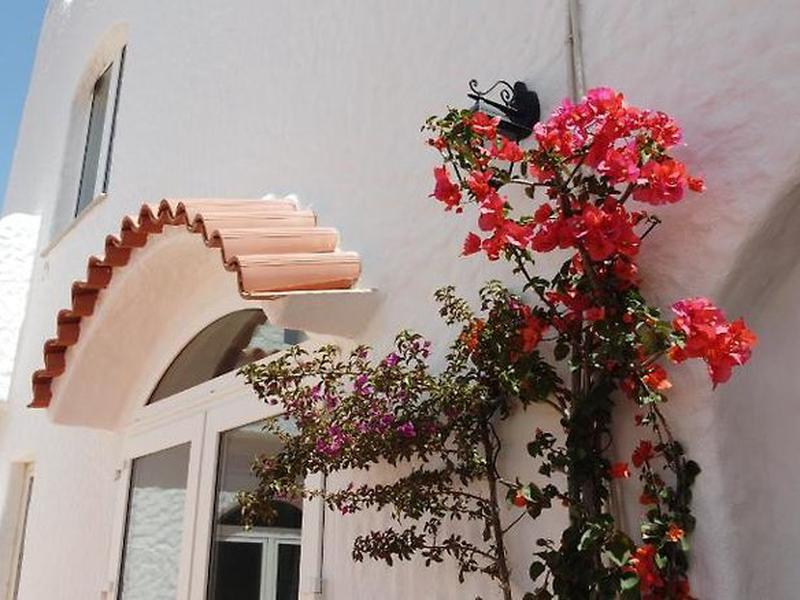 78E916916A47461083E9B360226BF5D0