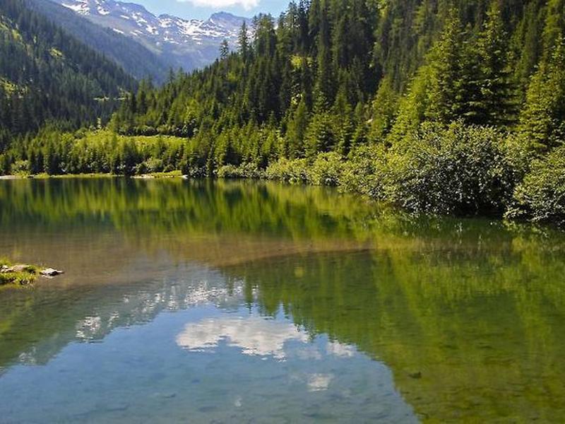 C871FC5F1DA7F7DF11B8AE1820E248BB