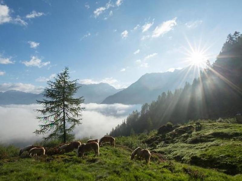 ED198CB4111B188B994B7CA7029932A4