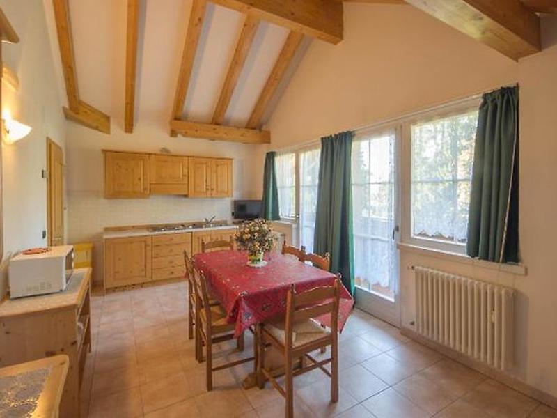 77A7D493CB7521C05C59CE73363D6933