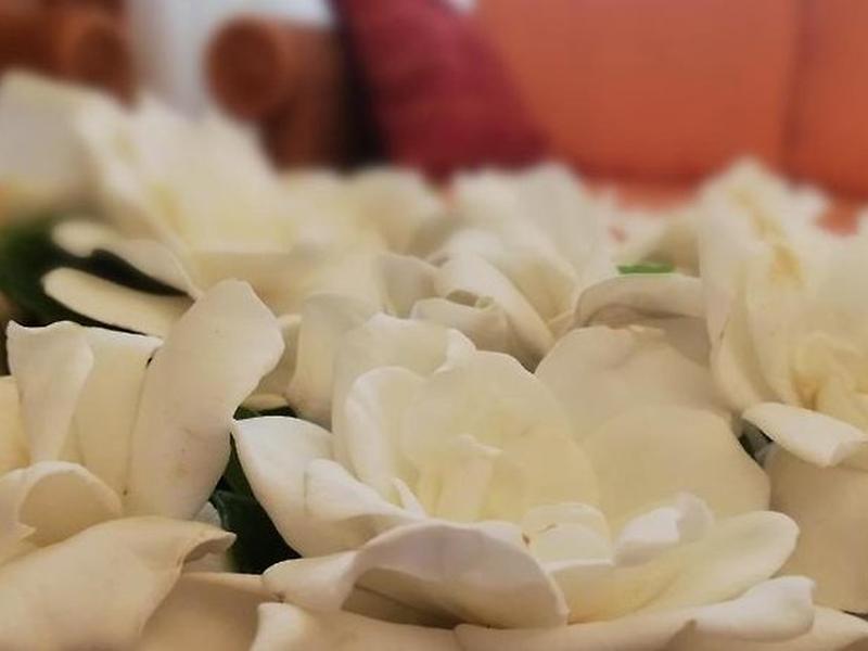 9DE7C9B4507E3750D5E9C381B792862E