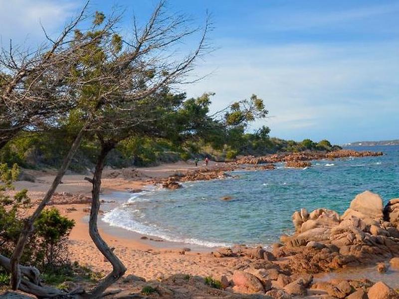 DAC10EBC6DF463AF9E9953CBF032C28F