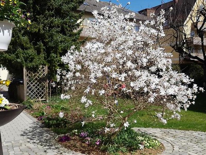 5BC3D536990C70B150879FE27A2F2131