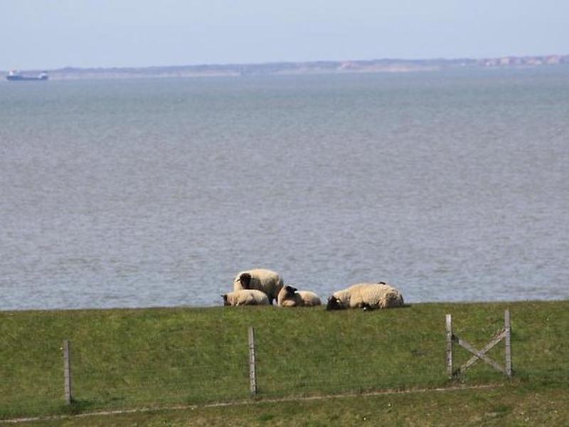 C2AB29169BE22CC21DEEFA5C3B022F84