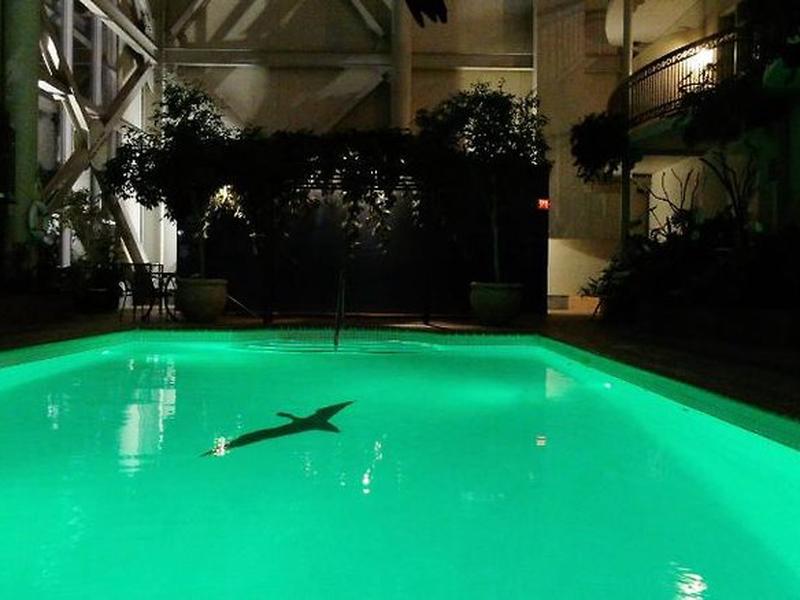 C299832DAF2EF60FFF90B8F7D4083B65