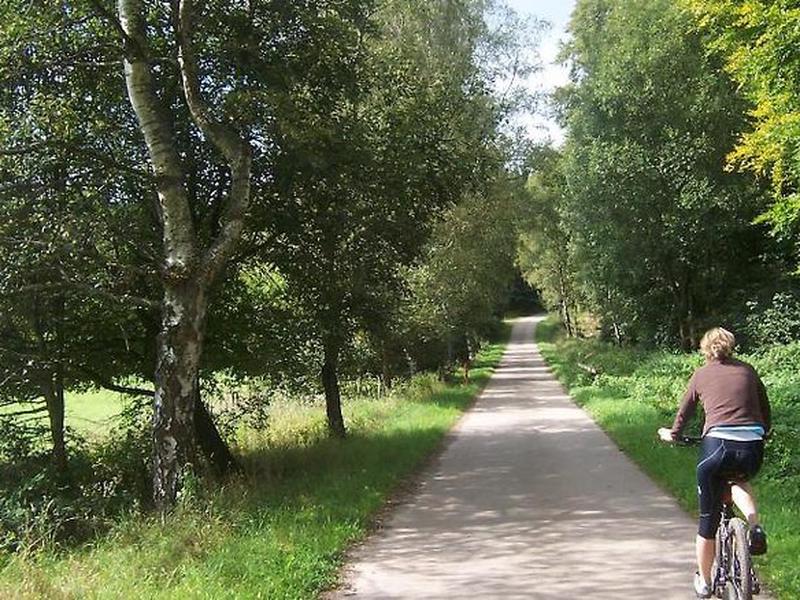 D47765907780A60CDD88608C428D2905