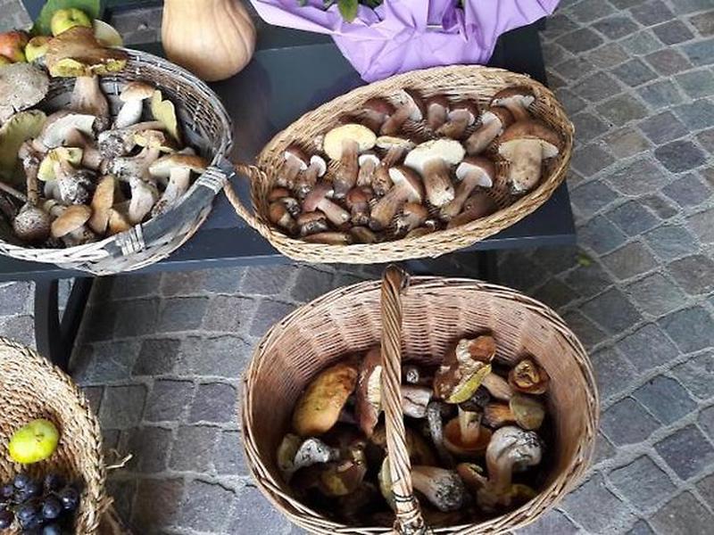 CDC76AC5B3AFE5E1E9BEEC0C1632CD19