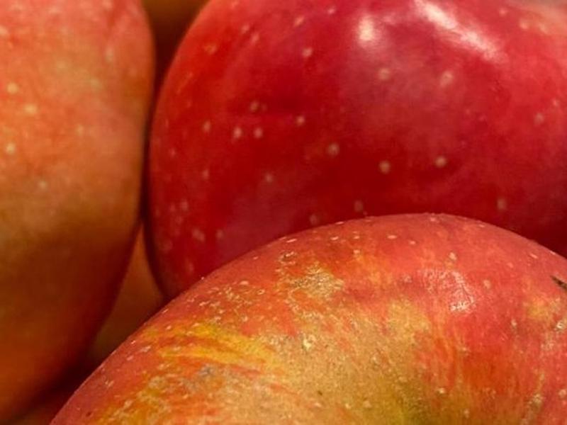 98C013E3350862D33978CDEC8A263689